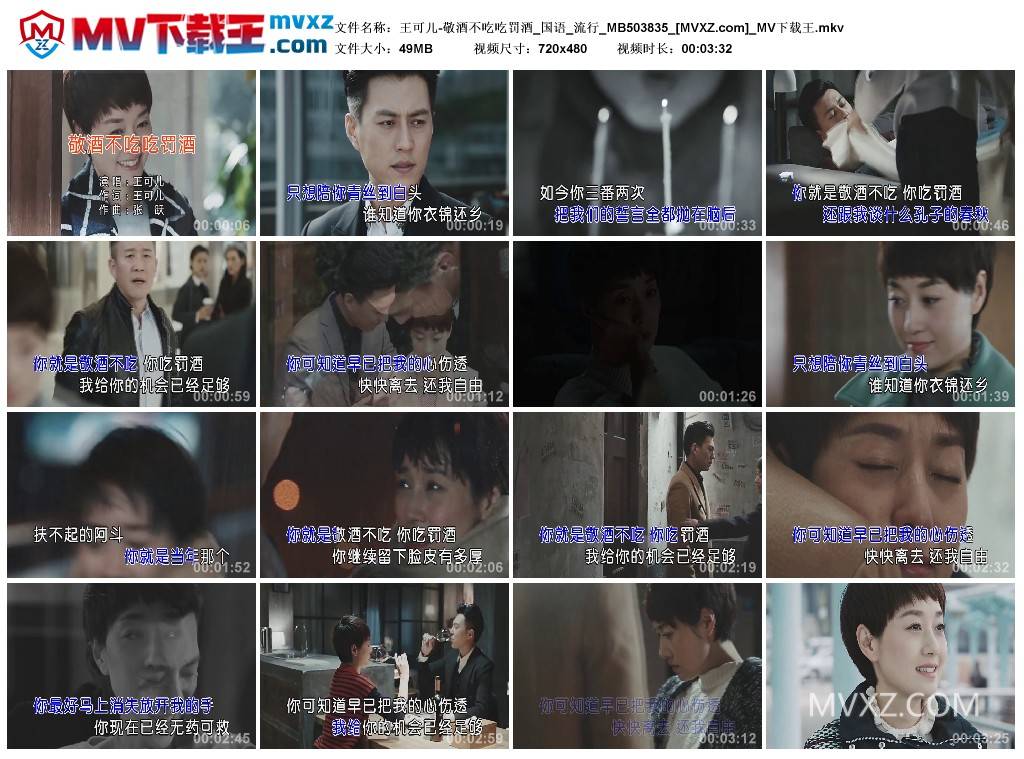 王可儿-敬酒不吃吃罚酒_国语_流行_MB503835